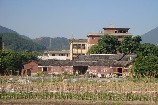 後溪村(福建省泉州市晉江市龍湖鎮下轄村)