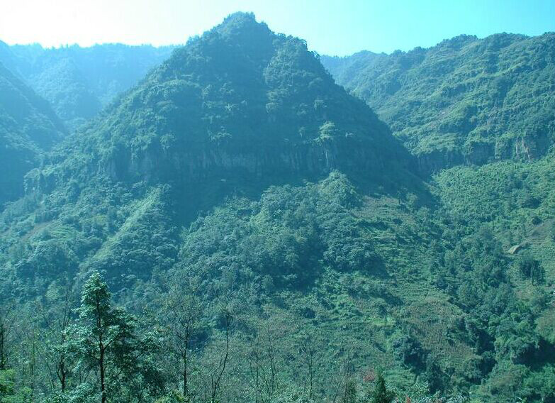 中嶺自然村(雲南省騰衝縣五合鄉中嶺自然村)