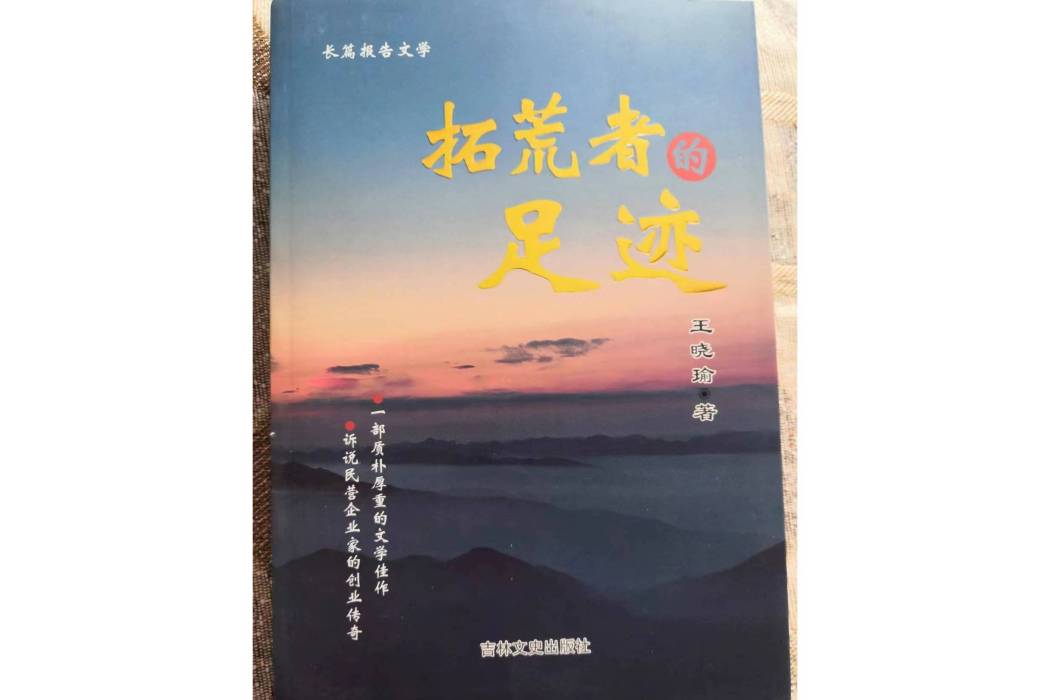 拓荒者的足跡(王曉瑜所著書籍)