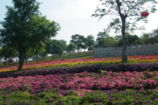 東莞松湖蝶戀生態園