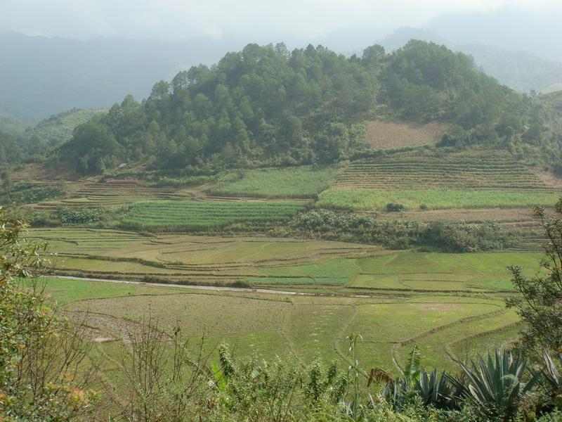 老包寨村