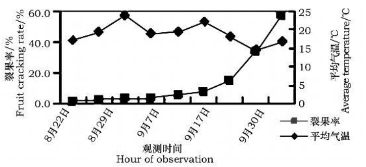 圖 1 裂果與日均氣溫