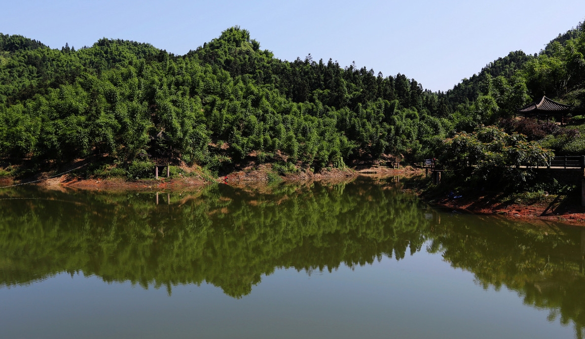 四川沐川國家森林公園