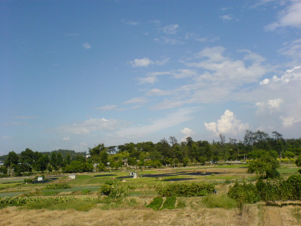 茅山村(廣東廣州市白雲區江高鎮下轄村)