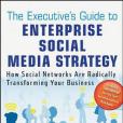 The Executive\x27s Guide to Enterprise Social Media Strategy