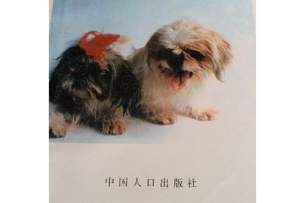 實用犬病防治技術