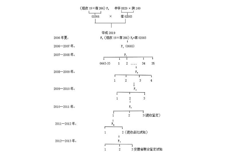 華成2019