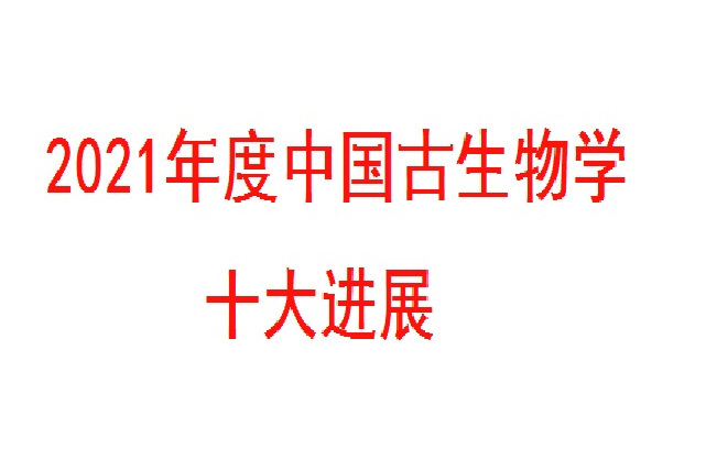 2021年度中國古生物學十大進展