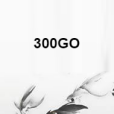 300GO