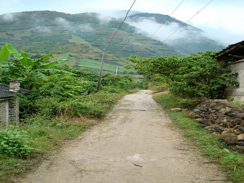 燙習村村內道路