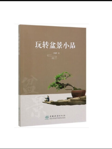 玩轉盆景小品玩轉盆景小品