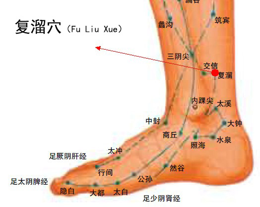 復溜穴