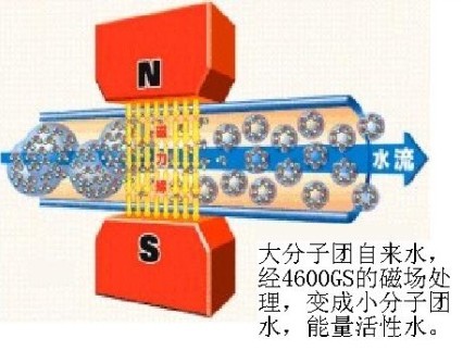 斐爾迪尼高磁能量活水器