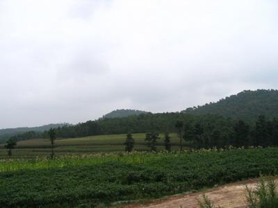 雞冠山自然村