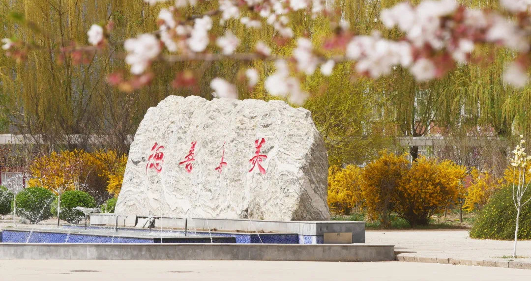 河北女子職業技術學院(河北女子職業學院)