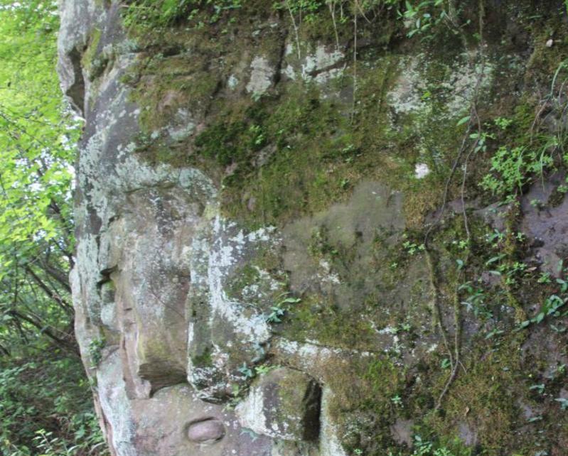 靖州飛山