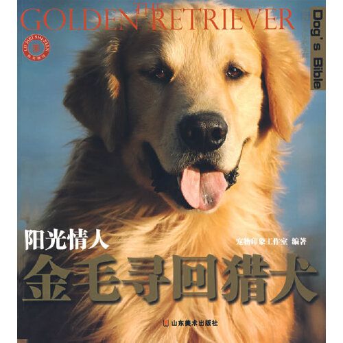 陽光情人：金毛尋回獵犬