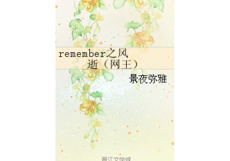 remember之風逝（網王）