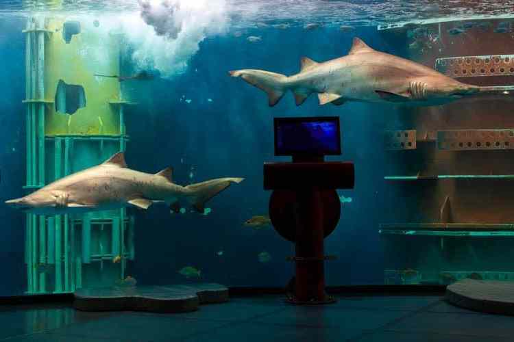 聖馬洛大水族館