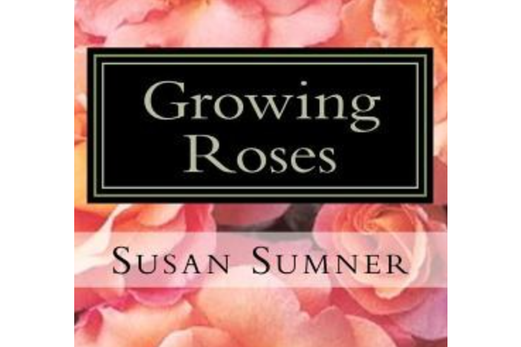 Growing Roses