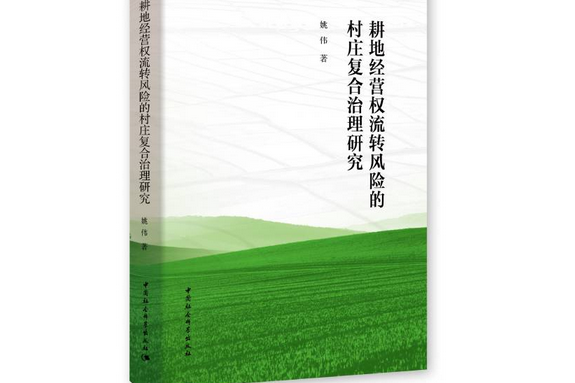 耕地經營權流轉風險的村莊複合治理研究