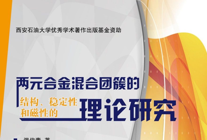 兩元合金混合團簇的結構、穩定性和磁性的理論研究