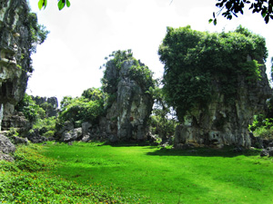 江州區石林美景