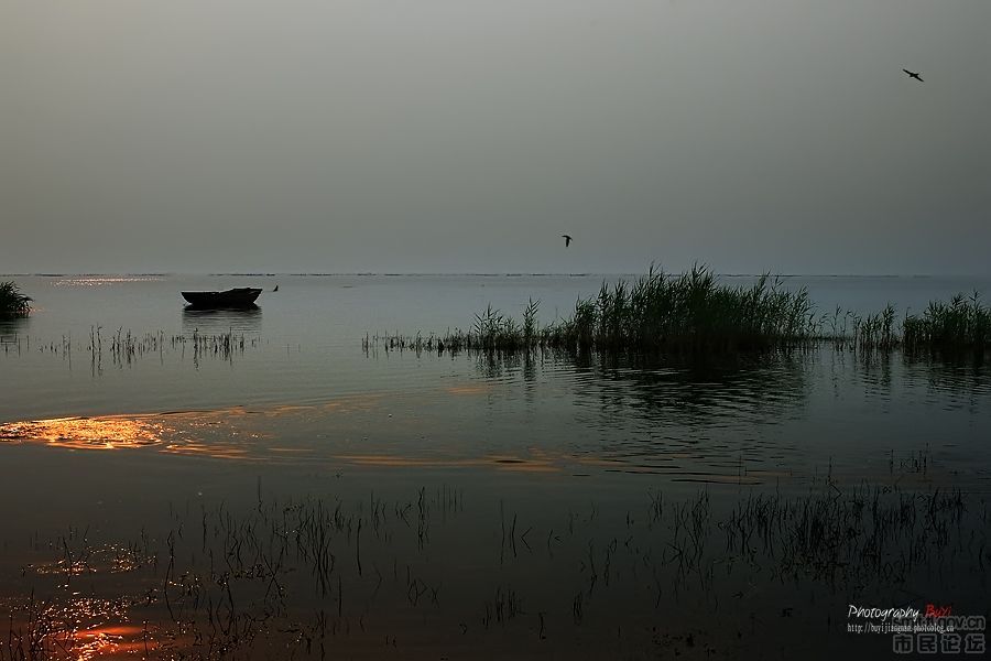 龍馬湖