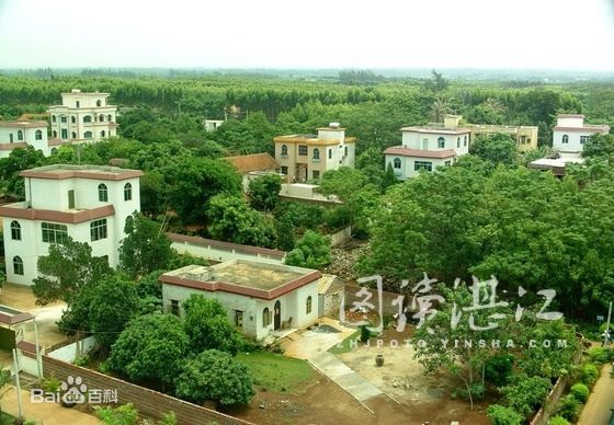 青桐村(廣東湛江市徐聞縣邁陳鎮下轄村)