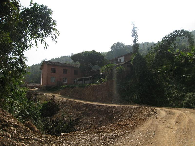 進村道路