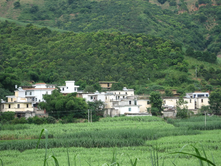 雲南玉溪元江縣東峨鎮通達村