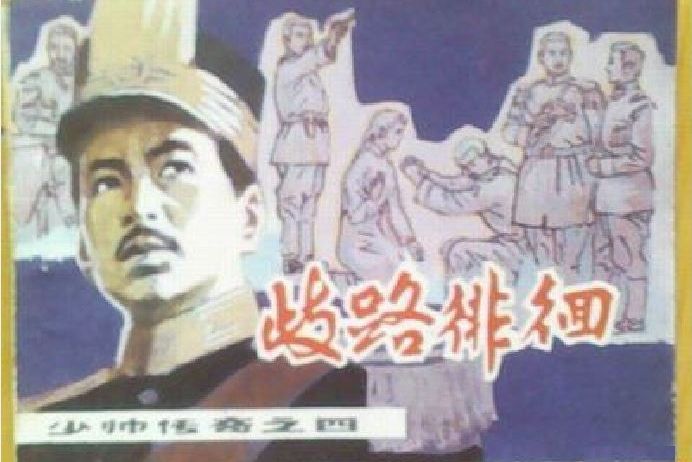 少帥傳奇(1985年遼寧美術出版社出版的圖書)