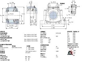 SKF