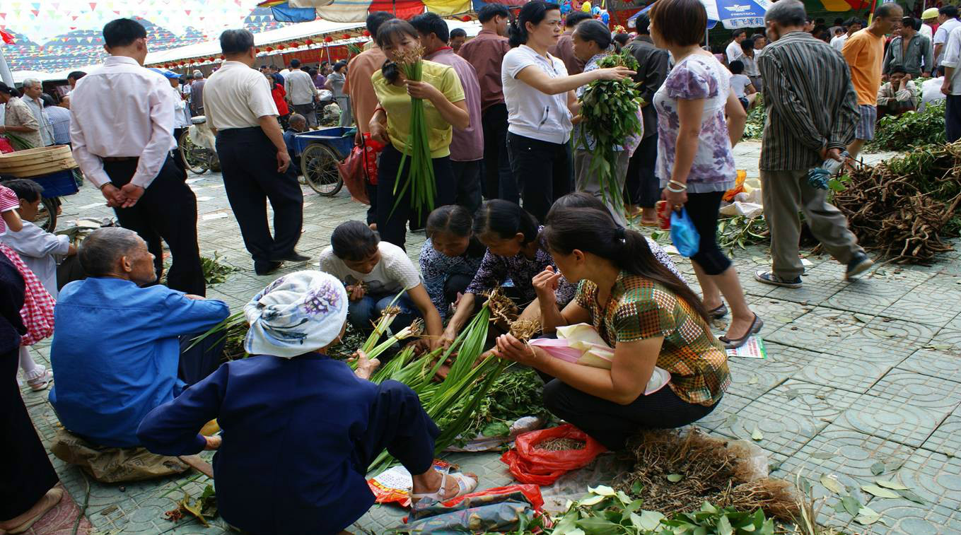 民眾在藥市節購買菖蒲回家懸掛