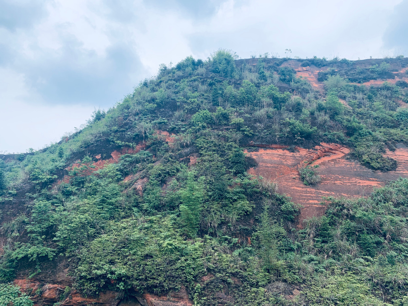 周安村(雙燕村（富順縣福善鎮境內的一處地名）)