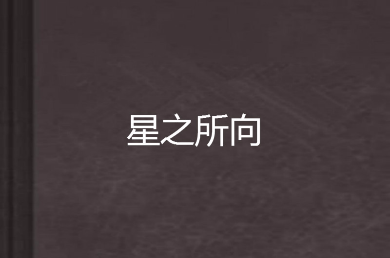 星之所向(小說)