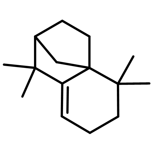 異長葉烯