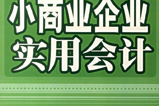 小商業企業實用會計(2006年中國紡織出版社出版的圖書)