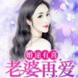 婚途有喜：老婆再愛我一次