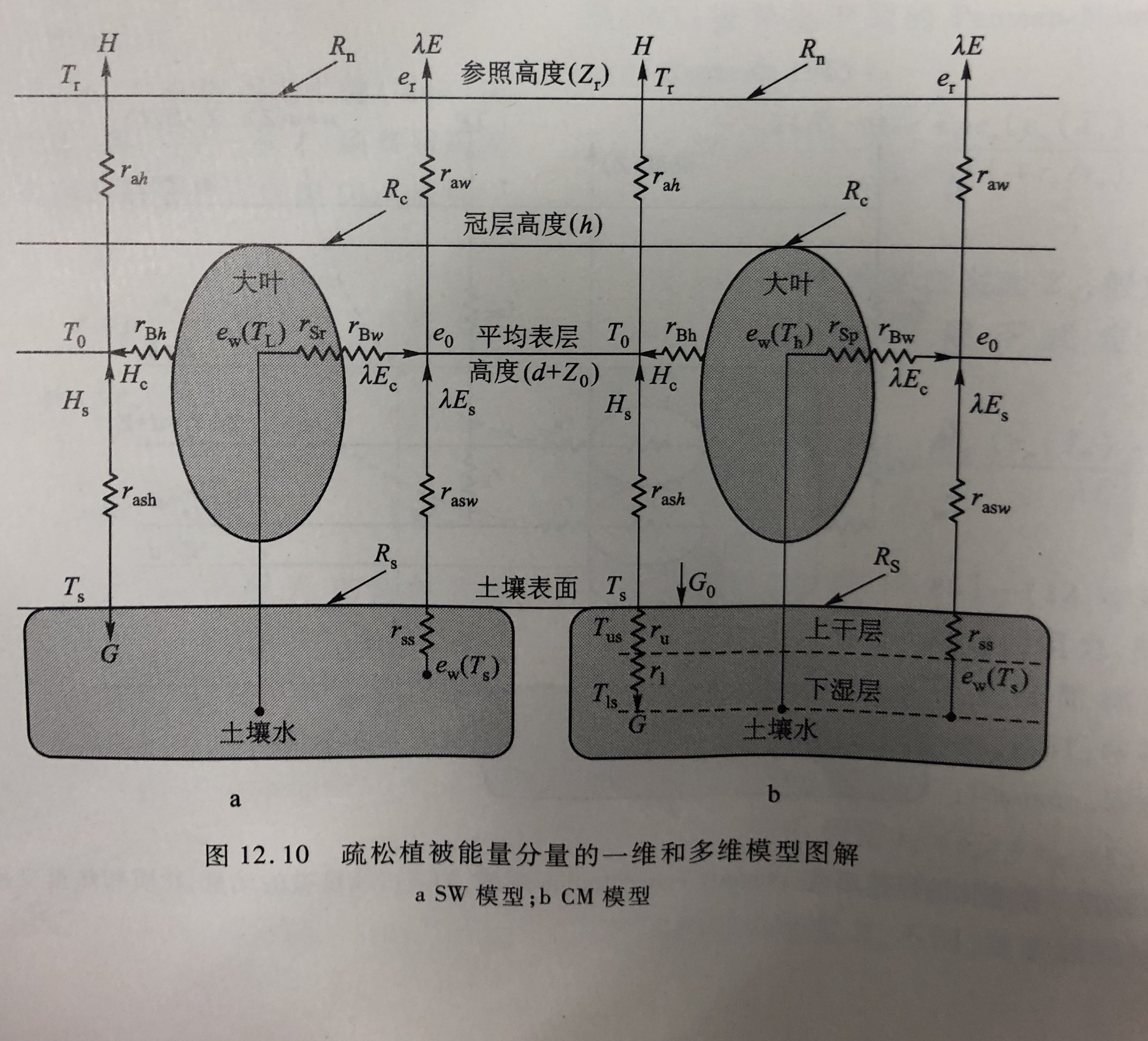 雙涌源模型