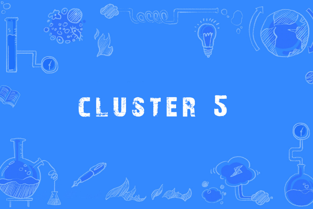 cluster 5