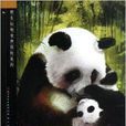 大熊貓傳奇/野生動物世界探險系列