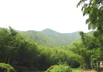 白峴鄉風情