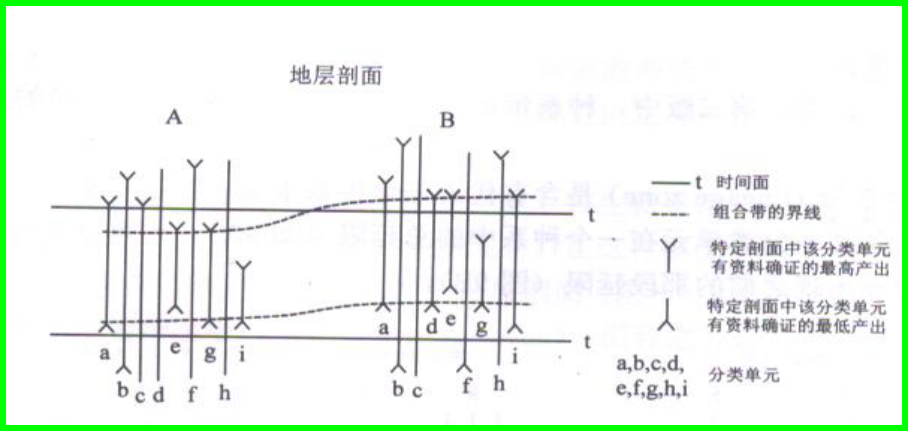 組合帶