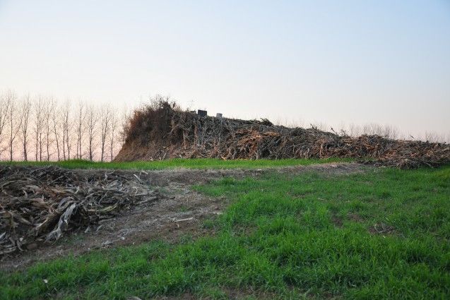 羅莊城遺址