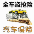 全車盜搶險(全車盜搶保險)