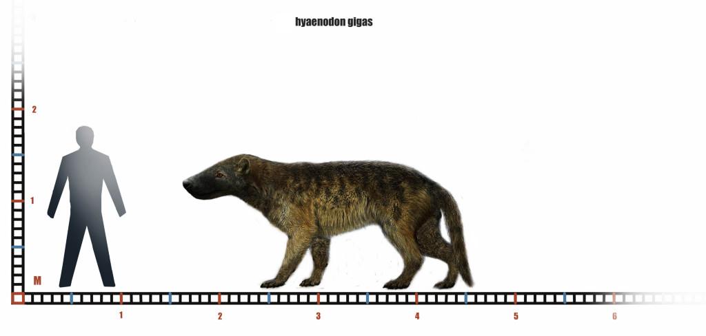 巨鬣齒獸與1.8米高人類體型對比