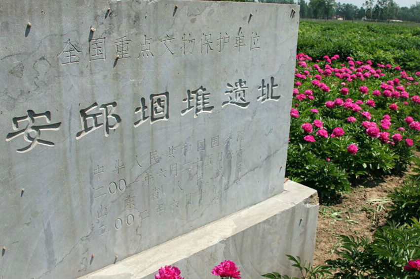 安邱堌堆遺址(安邱固堆遺址)