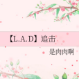 【L.A.D】追擊