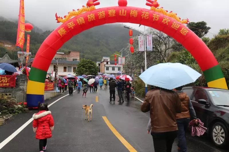 旅遊登山梅花節